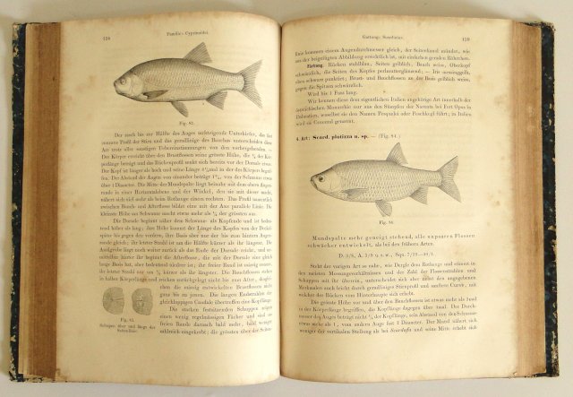 Acervo - Coleção bibliográfica